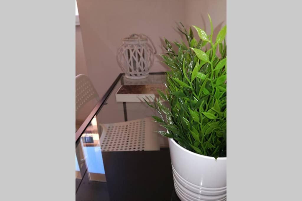 Trastevere House Apartment Rome Exterior photo