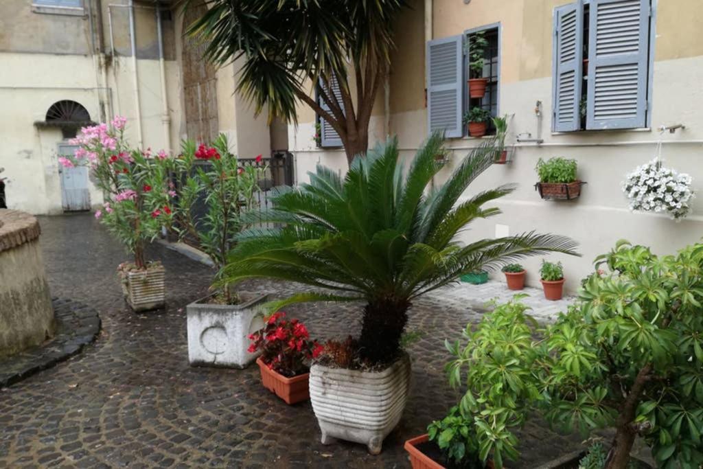 Trastevere House Apartment Rome Exterior photo